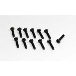 Head Cross Screw 3x16 (12) Buggy/Truggy