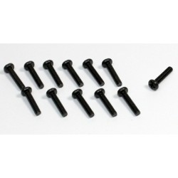 Head Cross screw M3x16 (12) Sand Buggy