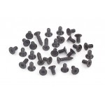 BLACK HEX AND PHILLIPS SCREW SET FOR T1  (31)