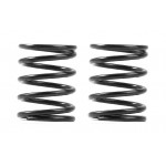 XRAY 3S SPRING-SET C=4.5 (2)