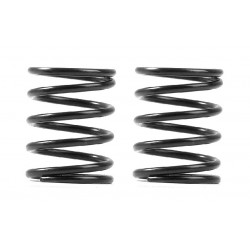 XRAY 3S SPRING-SET C=4.5 (2)