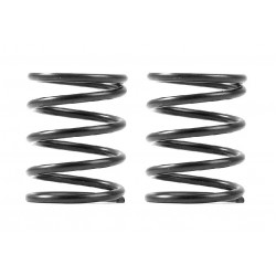XRAY 3S SPRING-SET C=5.0 (2)