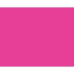 RC CAR 1009 CUYPERS PINK lexan 150ml  