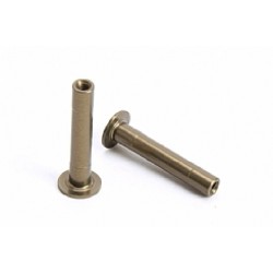 Steering Bolt -2pcs