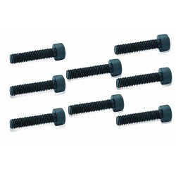 Cooling Head Screw  x8