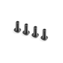 HEX SCREW SH M4x10 WITH HEX FROM BOTTOM  (4)