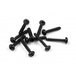 SCREW PHILLIPS 2.5x14  (10)