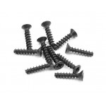 SCREW PHILLIPS FH 2.5x12  (10)