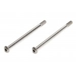 Rear hinge pin-option(2) - AG8239