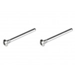 Screw Hinge Pin 2.5x29.5mm(2pcs)