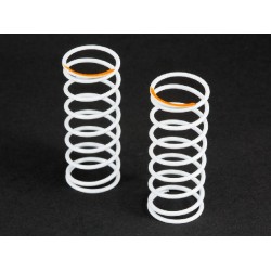 Big Bore Shock Springs 45mm