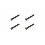 Button Head Screw M3x30mm (4)