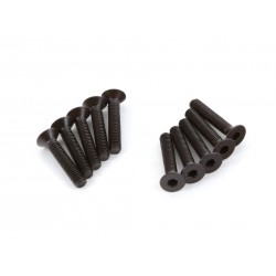 FLAT HEAD SCREW M3x16mm (10pcs)