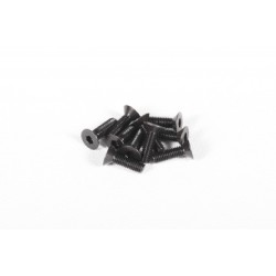 Axial šroub imbus M3x10mm FH (10)