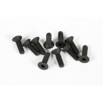 Axial šroub imbus M3x10mm FH (10)