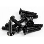 Axial šroub imbus M2.5x12mm FH (10)