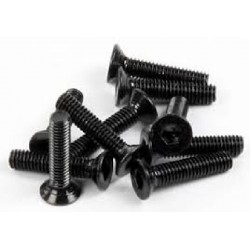 Axial šroub imbus M2.5x12mm FH (10)