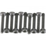 Axial šroub imbus M3x16mm CH (10)