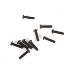 Axial šroub imbus M2,5x10mm BH (10)