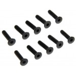 Axial šroub imbus M3x14mm FH (10)