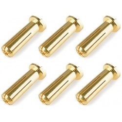 Corally zlacený konektor 5.0mm samec zahnutý (6)