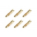 Corally zlacený konektor 2.0mm samec (6)