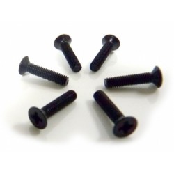 Zápustný šroub 3x14 mm (6 ks)