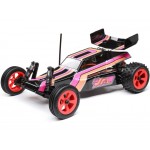 RC auto - Losi Mini JRX2 1:16 RTR