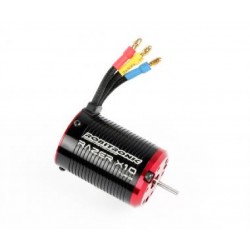 Razer X10 Brushless Motor 8 Turn