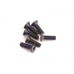 Šroub imbus zapuštěná hlava M3x10mm (6)