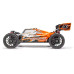 Spirit NXT EVO RR 2.0 Brushless buggy - oranžová (vč. LiPo a nabíječe) Spirit NXT EVO RR 2.0 Brushless buggy - oranžová (vč. LiPo a nabíječe)