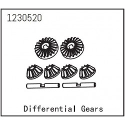 Differential Gear Set