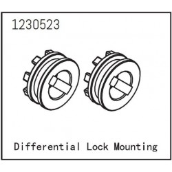 Differential Lock Mounting