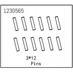 Pins 3*12 (12)