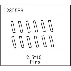 Pins 2.5*10 (12)