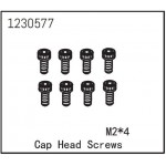 Cap Head Screw M2*4 (8)