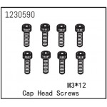 Cap Head Screw M3*12 (8)