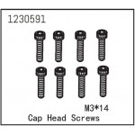 Cap Head Screw M3*14 (8)