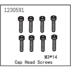 Cap Head Screw M3*14 (8)