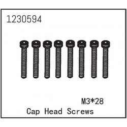 Cap Head Screw M3*28 (8)