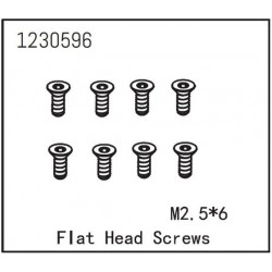 Flat Head Screw M2.5*6 (8)