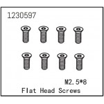 Flat Head Screw M2.5*8 (8)