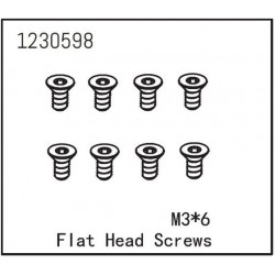 Flat Head Screw M3*6 (8)
