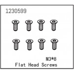 Flat Head Screw M3*8 (8)