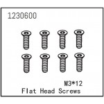 Flat Head Screw M3*12 (8)