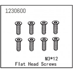 Flat Head Screw M3*12 (8)