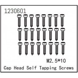 Self-tapping Cap Screw M2.5*12 (24