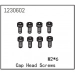 Cap Head Screw M2*6 (8)
