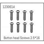 Button Head Screw M2.5*14 (8)