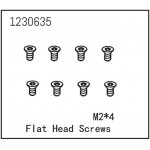 Flat Head Screw M2*4 (8)